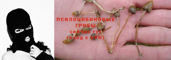 mdma Киреевск